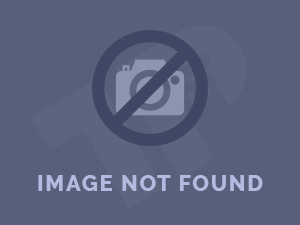 Palm Springs in April